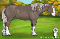Horse Color:Silver Blue Roan Splash 