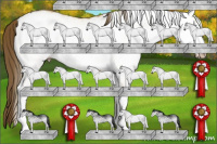 Horse Color:Gray White Spotted Smoky Black Pearl