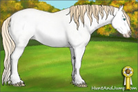 Horse Color:White Spotted Smoky Black Pearl Splash Rabicano 