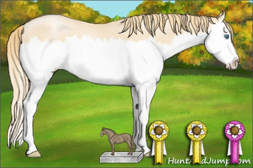 Horse Color: Smoky Black Pearl Sabino Splash 
