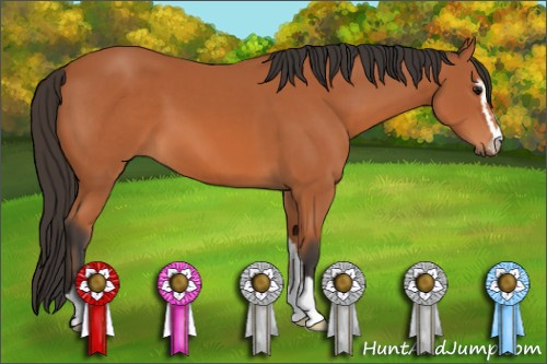 Horse Color: Bay Sabino 