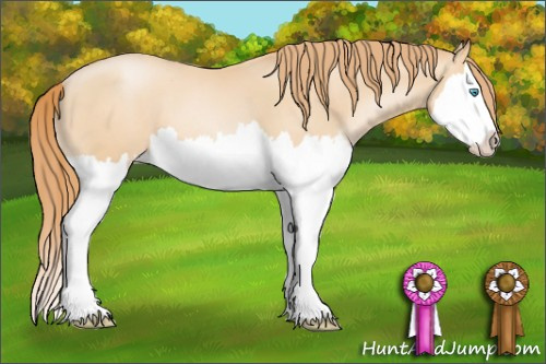 Horse Color: Buckskin Pearl Splash 