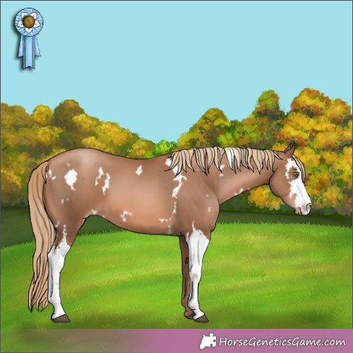 Horse Color: White Spotted Liver Chestnut Pearl 