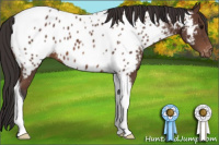 Horse Color:Bay Tobiano Near Leopard 