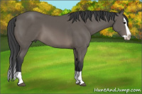 Horse Color:Brown Splash