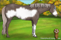 Horse Color:Silver Black Frame 