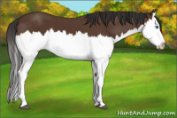 Horse Color:Brown Splash 