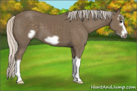 Horse Color:Silver Smoky Black Splash Frame 