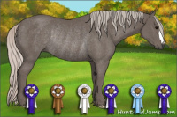 Horse Color:Silver Black Rabicano 
