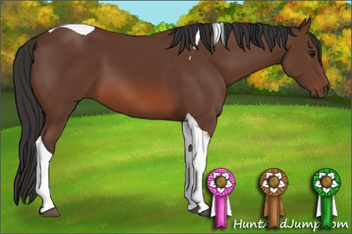 Horse Color: Bay Tobiano 