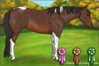 Horse Color:Bay Tobiano 