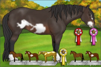 Horse Color:Brown Frame 