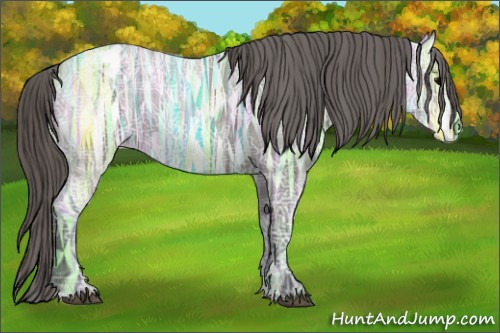 Horse Color: Grullo Ice Blanket 