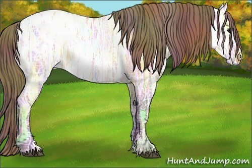 Horse Color: Nacre Bay Ice Dun Blanket  Brindle