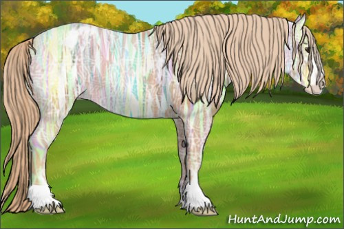 Horse Color: Chestnut Ice Sabino Blanket 