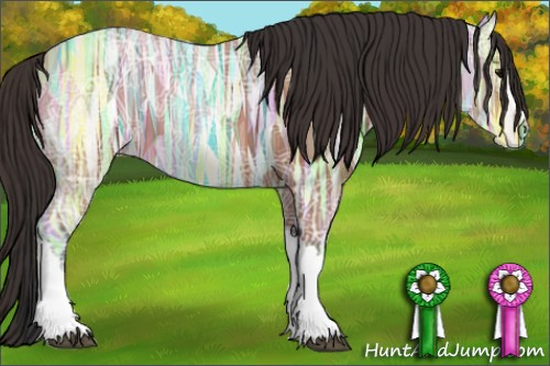 Horse Color: Bay Ice 