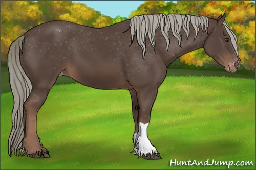 Horse Color: Liver Chestnut Mushroom Blanket 
