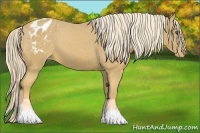 Horse Color:Palomino Mushroom Blanket 