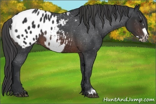 Horse Color: Brown Frame Blanket 