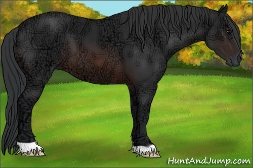 Horse Color: Brown Ice 