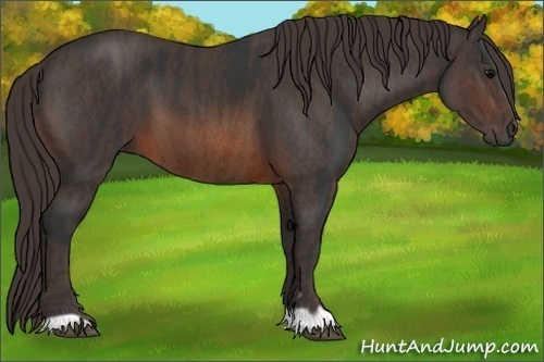 Horse Color: Brown  Brindle