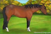 Horse Color:Brown 