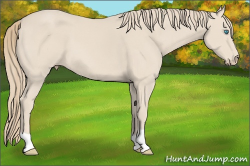 Horse Color: Smoky Creme 