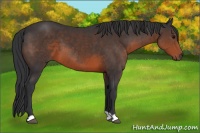 Horse Color:Brown 