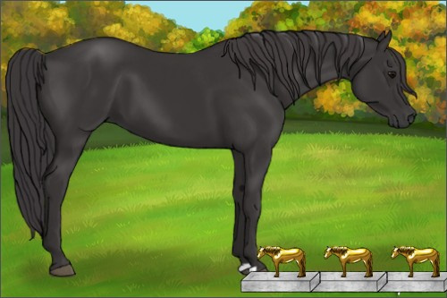 Horse Color: Smoky Black 
