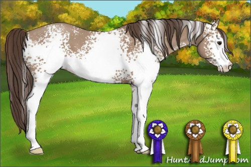 Horse Color: White Spotted Classic Champagne Roan 