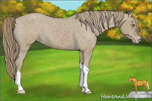 Horse Color: Classic Cream Champagne Varnish 