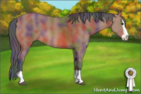 Horse Color:Nacre Bay Splash