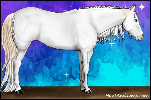 Horse Color: Smoky Grullo Pearl Splash Tobiano 