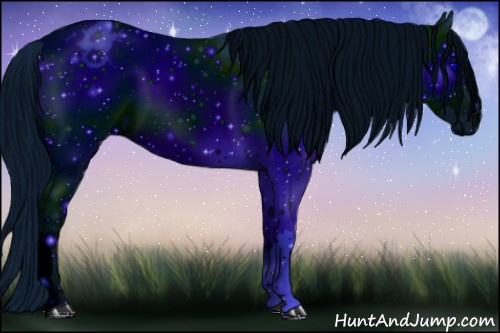 Horse Color: ERROR: UNKNOWN ANOMALY