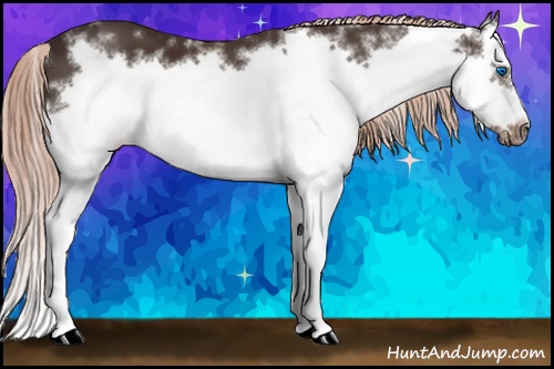 Horse Color: White Spotted Liver Chestnut Splash Frame 