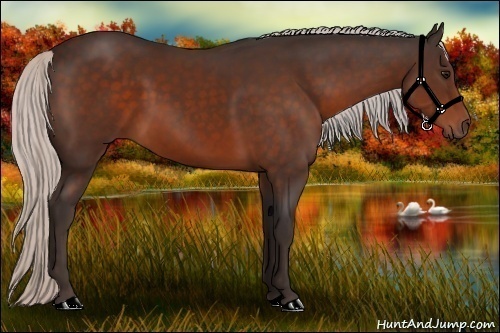 Horse Color: Silver Bay 