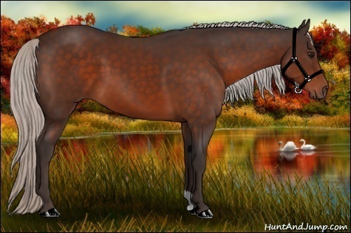Horse Color: Silver Bay 