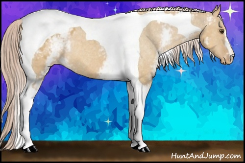 Horse Color: White Spotted Palomino Dun Tobiano Blanket 