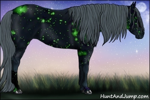 Horse Color: ERROR: UNKNOWN ANOMALY