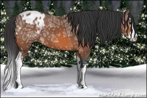 Horse Color: White Spotted Bay Ice Splash Blanket 
