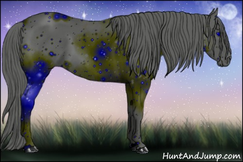 Horse Color: ERROR: UNKNOWN ANOMALY
