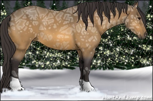 Horse Color: Buckskin Ice 
