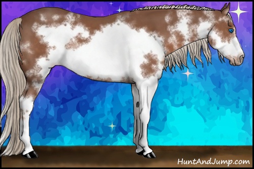Horse Color: White Spotted Liver Chestnut Splash Frame 