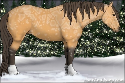 Horse Color: Buckskin Ice 