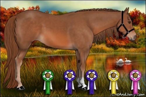 Horse Color: Liver Chestnut 