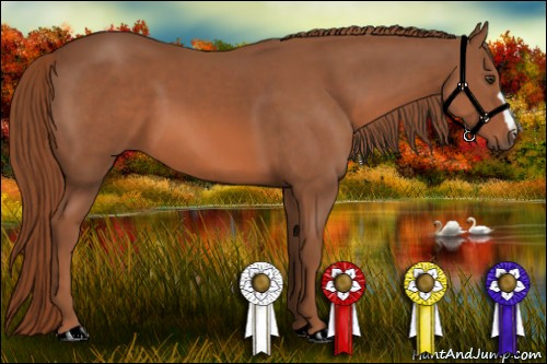 Horse Color: Liver Chestnut 