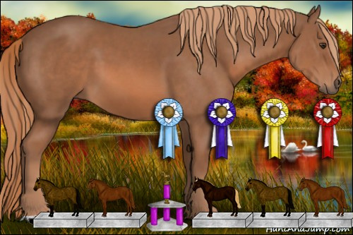Horse Color: Liver Chestnut 