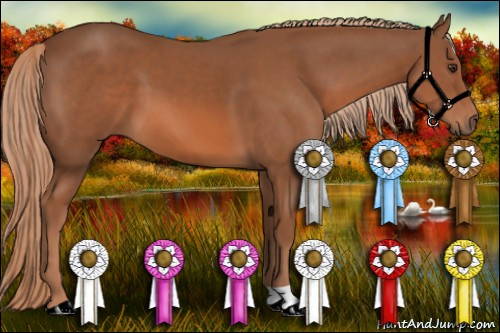 Horse Color: Liver Chestnut 