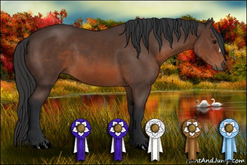 Horse Color: Brown 
