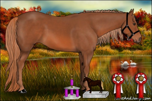Horse Color: Liver Chestnut 